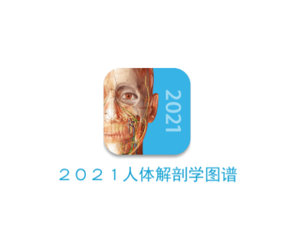 医学研究：人体解剖学图谱2021